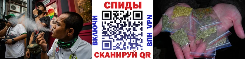 цены   Плёс  Бутират буратино 