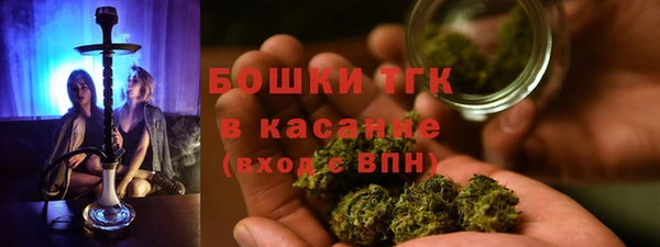 экстази Пестово