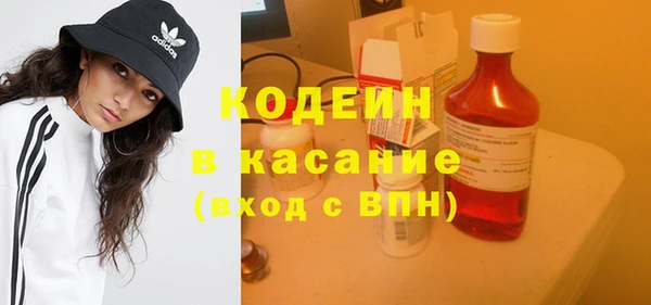 ПСИЛОЦИБИНОВЫЕ ГРИБЫ Богданович