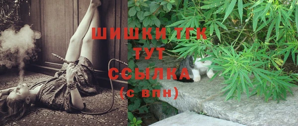 ПСИЛОЦИБИНОВЫЕ ГРИБЫ Богданович
