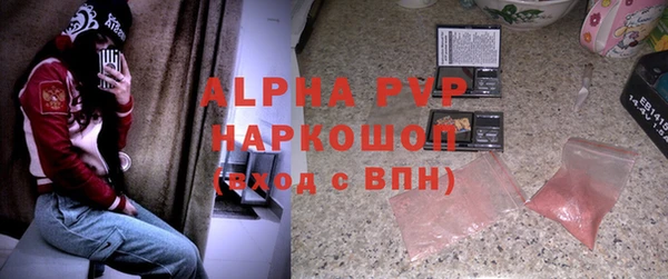 ПСИЛОЦИБИНОВЫЕ ГРИБЫ Богданович