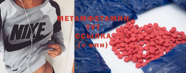 ПСИЛОЦИБИНОВЫЕ ГРИБЫ Богданович
