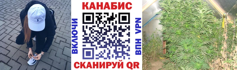 Каннабис AK-47 Плёс